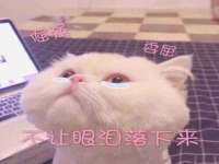 扬州稻草人建筑装饰工程有限公司