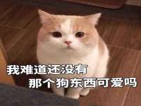 扬州稻草人建筑装饰工程有限公司