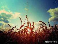 扬州稻草人建筑装饰工程有限公司