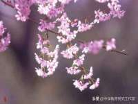 扬州稻草人建筑装饰工程有限公司