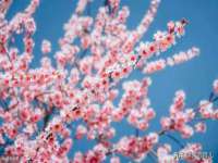 扬州稻草人建筑装饰工程有限公司