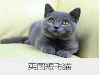 扬州稻草人建筑装饰工程有限公司