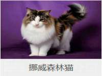 扬州稻草人建筑装饰工程有限公司