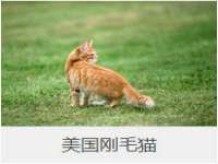 扬州稻草人建筑装饰工程有限公司