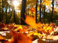 扬州稻草人建筑装饰工程有限公司