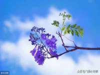 扬州稻草人建筑装饰工程有限公司