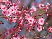 扬州稻草人建筑装饰工程有限公司
