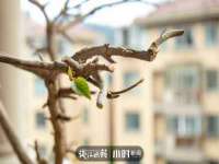 扬州稻草人建筑装饰工程有限公司