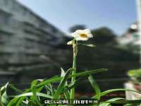 扬州稻草人建筑装饰工程有限公司