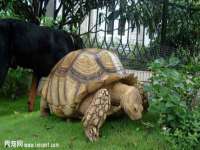 扬州稻草人建筑装饰工程有限公司