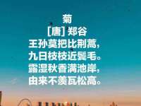 扬州稻草人建筑装饰工程有限公司