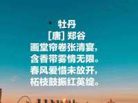扬州稻草人建筑装饰工程有限公司