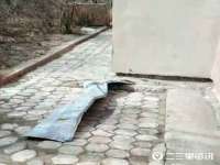 扬州稻草人建筑装饰工程有限公司