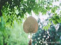 扬州稻草人建筑装饰工程有限公司