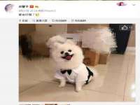 扬州稻草人建筑装饰工程有限公司