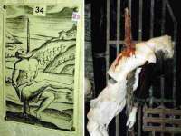 扬州稻草人建筑装饰工程有限公司