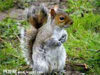 扬州稻草人建筑装饰工程有限公司
