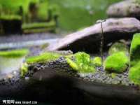 扬州稻草人建筑装饰工程有限公司