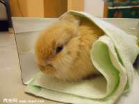 扬州稻草人建筑装饰工程有限公司