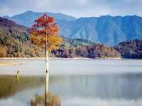 扬州稻草人建筑装饰工程有限公司