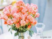 扬州稻草人建筑装饰工程有限公司