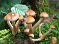 扬州稻草人建筑装饰工程有限公司