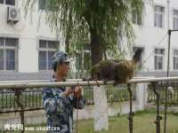 扬州稻草人建筑装饰工程有限公司