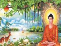 扬州稻草人建筑装饰工程有限公司