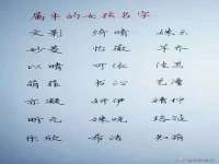 扬州稻草人建筑装饰工程有限公司