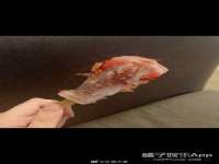 扬州稻草人建筑装饰工程有限公司